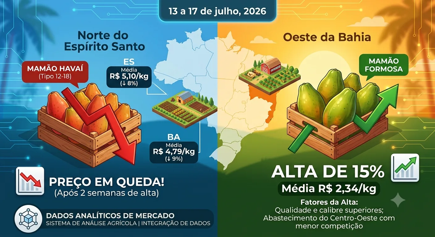 Com preços elevados e menor demanda, preços do havaí recuam no ES e BA
